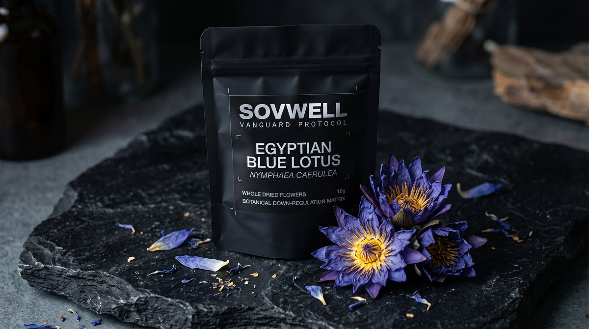 Egyptian Blue Lotus (Nymphaea Caerulea) | Botanical Down-Regulation Protocol