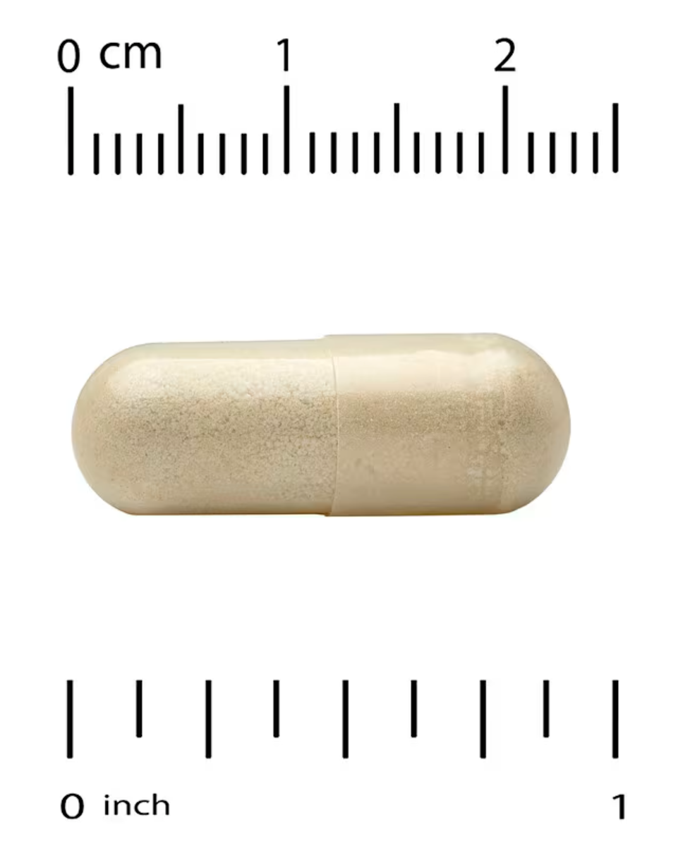 Thorne Basic Nutrients | Foundational Cellular Catalyst