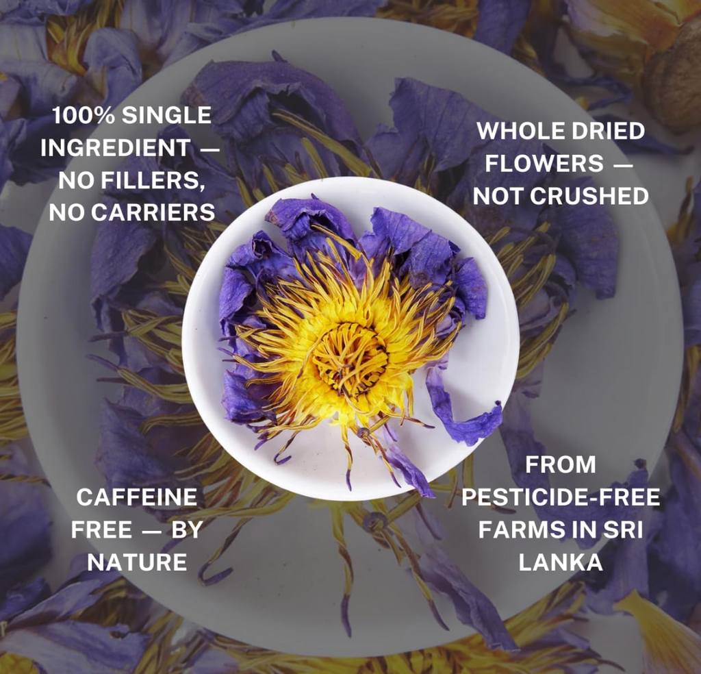 Egyptian Blue Lotus (Nymphaea Caerulea) | Botanical Down-Regulation Protocol