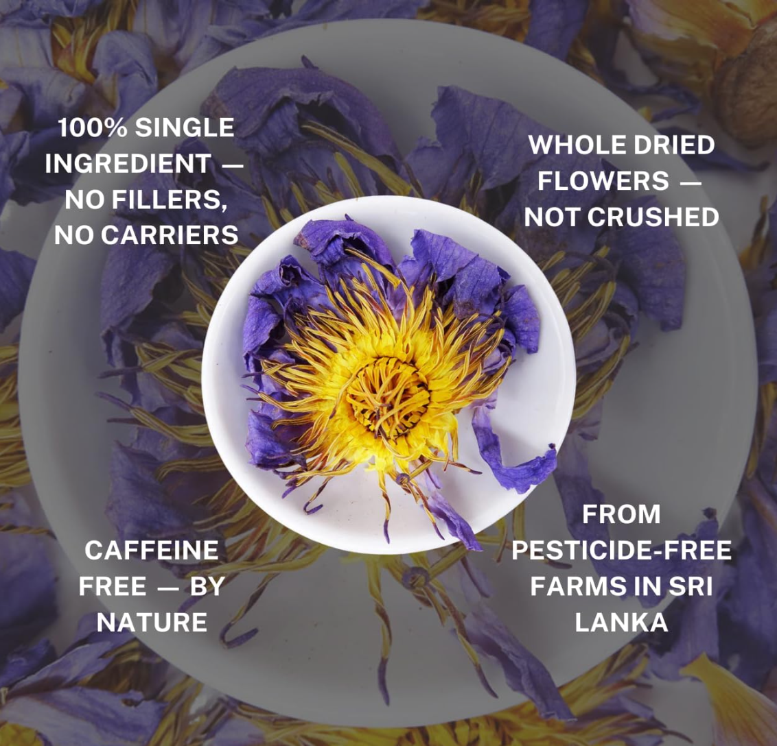 Egyptian Blue Lotus (Nymphaea Caerulea) | Botanical Down-Regulation Protocol